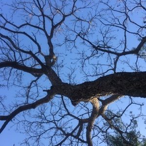 Meet your Posher, Lily